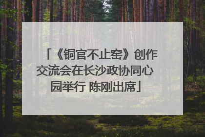 《铜官不止窑》创作交流会在长沙政协同心园举行 陈刚出席