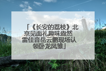 《长安的荔枝》北京见面礼趣味盎然 雷佳音岳云鹏现场认领卧龙凤雏