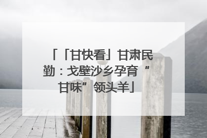 「甘快看」甘肃民勤：戈壁沙乡孕育“甘味”领头羊