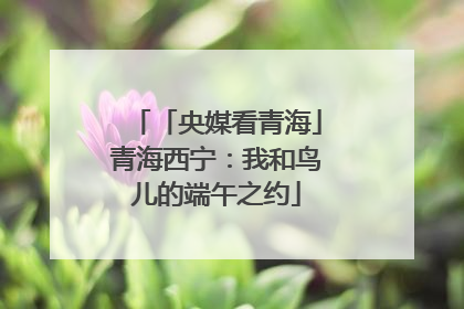 「央媒看青海」青海西宁：我和鸟儿的端午之约