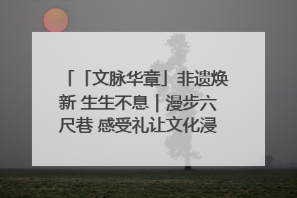 「文脉华章」非遗焕新 生生不息｜漫步六尺巷 感受礼让文化浸润的“巷”往生活
