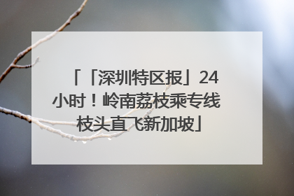 「深圳特区报」24小时！岭南荔枝乘专线 枝头直飞新加坡