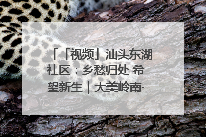 「视频」汕头东湖社区：乡愁归处 希望新生｜大美岭南·百村焕新记