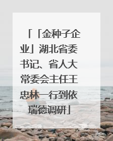 「金种子企业」湖北省委书记、省人大常委会主任王忠林一行到依瑞德调研