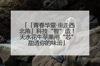 「青春华章·重走西北角」科技“智”造！天水花牛苹果用“芯”甜透你的味蕾