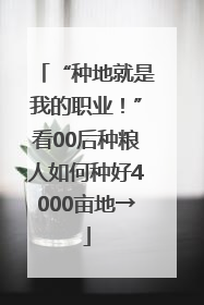 “种地就是我的职业！”看00后种粮人如何种好4000亩地→