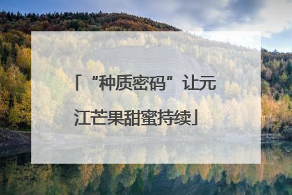 “种质密码”让元江芒果甜蜜持续