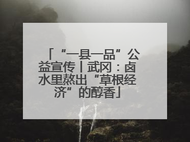 “一县一品”公益宣传丨武冈：卤水里熬出“草根经济”的醇香