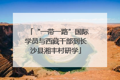 “一带一路”国际学员与西藏干部到长沙县湘丰村研学