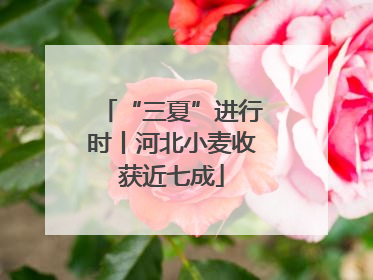 “三夏”进行时丨河北小麦收获近七成