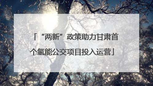 “两新”政策助力甘肃首个氢能公交项目投入运营
