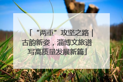 “两重”攻坚之路｜古韵新姿，淄博文旅谱写高质量发展新篇