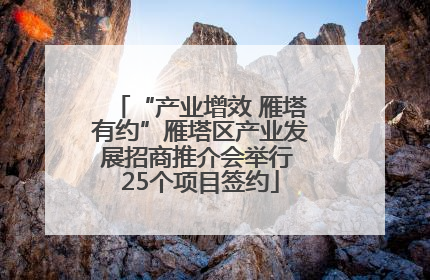 “产业增效 雁塔有约”雁塔区产业发展招商推介会举行 25个项目签约