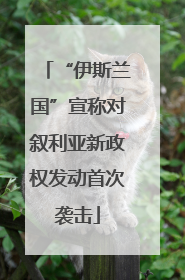 “伊斯兰国”宣称对叙利亚新政权发动首次袭击