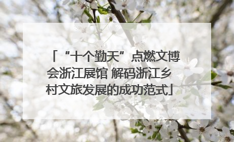 “十个勤天”点燃文博会浙江展馆 解码浙江乡村文旅发展的成功范式