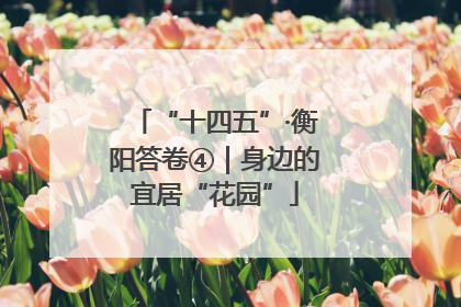 “十四五”·衡阳答卷④｜身边的宜居“花园”