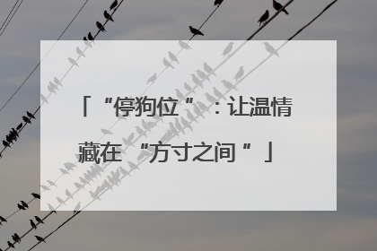“停狗位 ”：让温情藏在 “方寸之间 ”