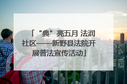 “典”亮五月 法润社区——新野县法院开展普法宣传活动