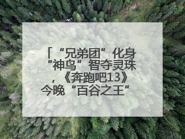 “兄弟团”化身“神鸟”智夺灵珠，《奔跑吧13》今晚“百谷之王”花落谁家？