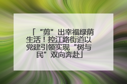 “剪”出幸福绿荫生活！控江路街道以党建引领实现“树与民”双向奔赴