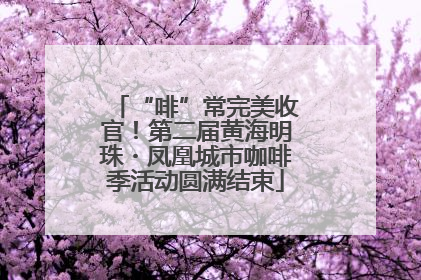 “啡”常完美收官！第二届黄海明珠・凤凰城市咖啡季活动圆满结束