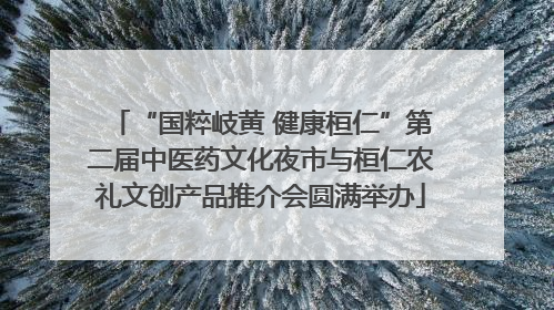 “国粹岐黄 健康桓仁”第二届中医药文化夜市与桓仁农礼文创产品推介会圆满举办