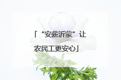 “安薪沂蒙”让农民工更安心