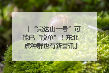 “完达山一号”可能已“脱单”！东北虎种群也有新喜讯