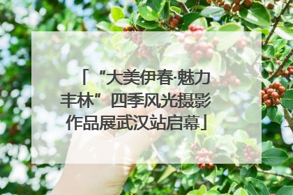 “大美伊春·魅力丰林”四季风光摄影作品展武汉站启幕