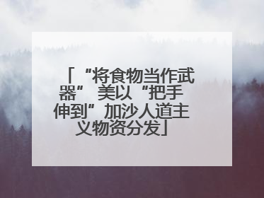 “将食物当作武器” 美以“把手伸到”加沙人道主义物资分发