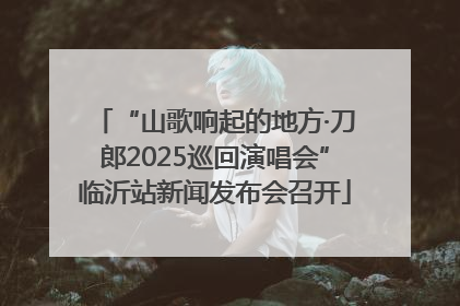 “山歌响起的地方·刀郎2025巡回演唱会”临沂站新闻发布会召开