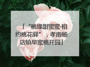 “桃缘甜蜜蜜·相约桃花驿”，孝南杨店镇早蜜桃开园