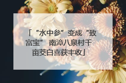“水中参”变成“致富宝” 南漳八泉村千亩茭白喜获丰收