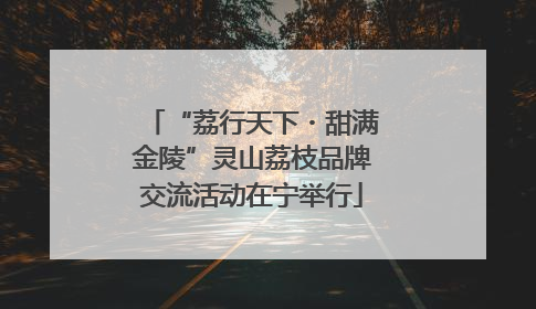 “荔行天下・甜满金陵”灵山荔枝品牌交流活动在宁举行