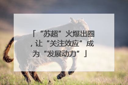 “苏超”火爆出圈，让“关注效应”成为“发展动力”