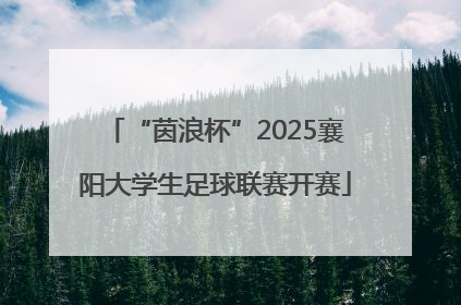 “茵浪杯”2025襄阳大学生足球联赛开赛