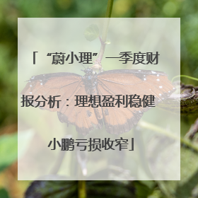 “蔚小理”一季度财报分析：理想盈利稳健 小鹏亏损收窄