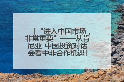 “进入中国市场，非常重要”——从肯尼亚-中国投资对话会看中非合作机遇