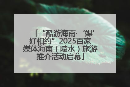 “酷游海南·‘媒’好相约”2025百家媒体海南（陵水）旅游推介活动启幕