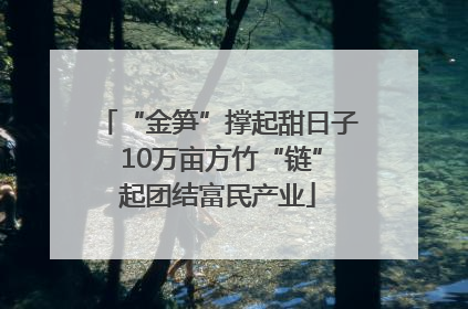 “金笋”撑起甜日子 10万亩方竹“链”起团结富民产业