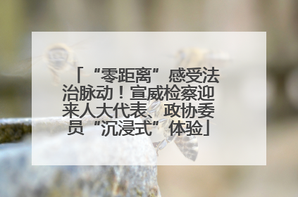 “零距离”感受法治脉动！宣威检察迎来人大代表、政协委员“沉浸式”体验