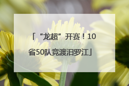 “龙超”开赛！10省50队竞渡汨罗江