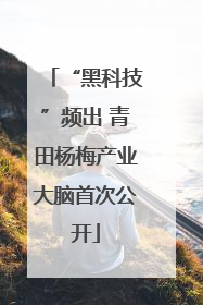“黑科技”频出 青田杨梅产业大脑首次公开