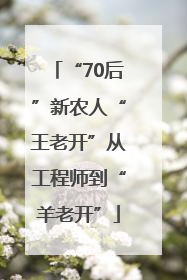 “70后”新农人“王老开”从工程师到“羊老开”