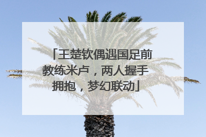 王楚钦偶遇国足前教练米卢，两人握手拥抱，梦幻联动