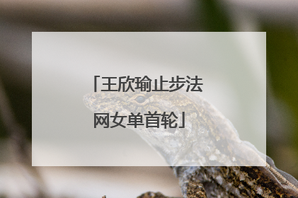 王欣瑜止步法网女单首轮