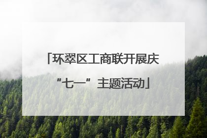 环翠区工商联开展庆“七一”主题活动