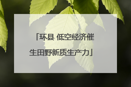 环县 低空经济催生田野新质生产力