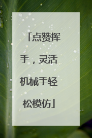 点赞挥手，灵活机械手轻松模仿