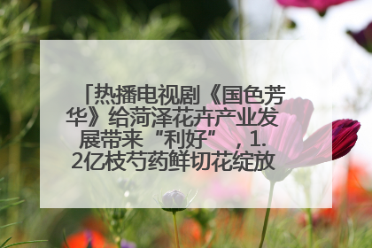 热播电视剧《国色芳华》给菏泽花卉产业发展带来“利好”，1.2亿枝芍药鲜切花绽放“国色芳华”
